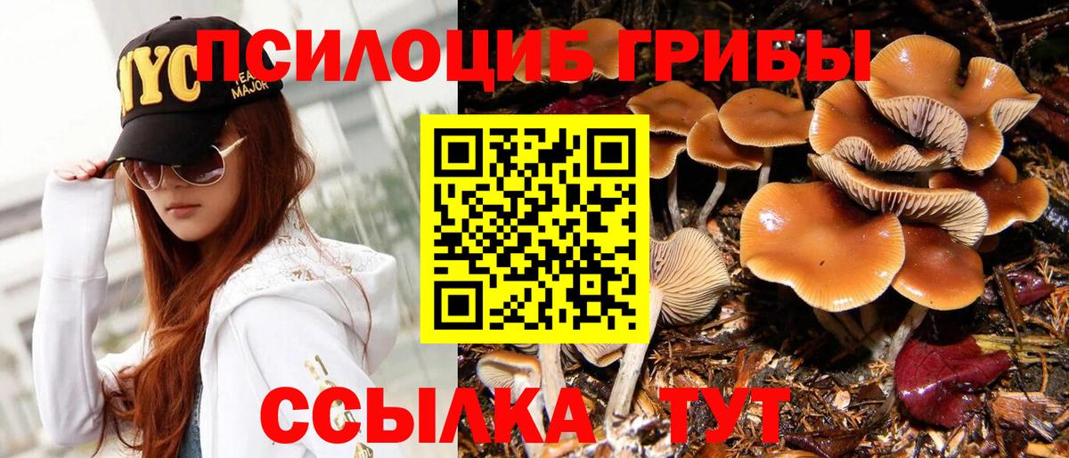 Камень-на-Оби  Псилоцибиновые грибы Cubensis  Псилоцибиновые грибы MAGIC MUSHROOMS  Вход с VPN 
